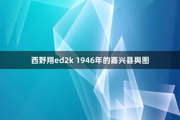 西野翔ed2k 1946年的嘉兴县舆图