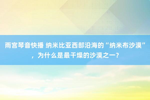 雨宫琴音快播 纳米比亚西部沿海的“纳米布沙漠”，为什么是最干燥的沙漠之一？