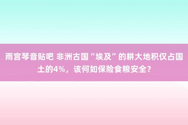 雨宫琴音贴吧 非洲古国“埃及”的耕大地积仅占国土的4%，该何如保险食粮安全？