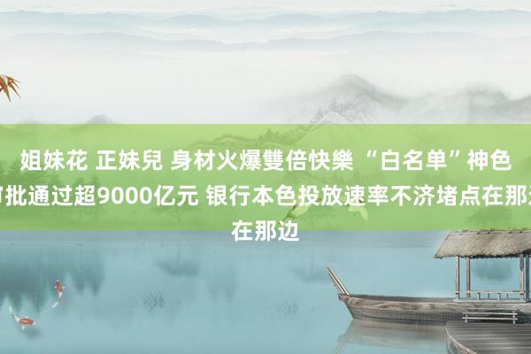 姐妹花 正妹兒 身材火爆雙倍快樂 “白名单”神色审批通过超9000亿元 银行本色投放速率不济堵点在那边