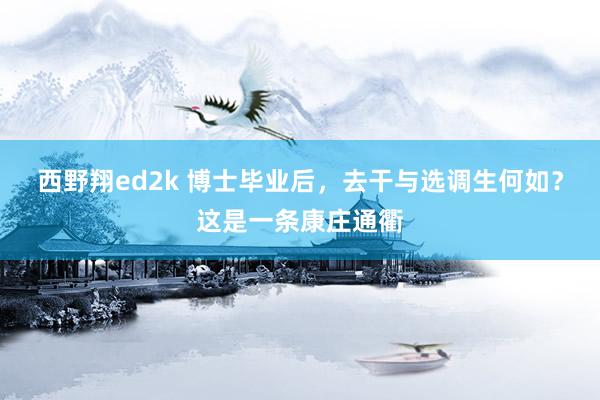 西野翔ed2k 博士毕业后，去干与选调生何如？这是一条康庄通衢