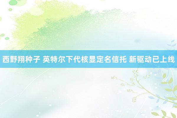 西野翔种子 英特尔下代核显定名信托 新驱动已上线