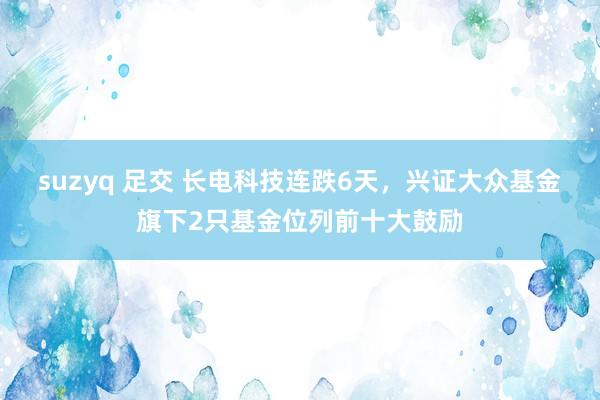 suzyq 足交 长电科技连跌6天，兴证大众基金旗下2只基金位列前十大鼓励