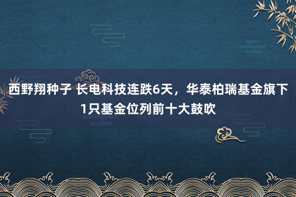 西野翔种子 长电科技连跌6天，华泰柏瑞基金旗下1只基金位列前十大鼓吹