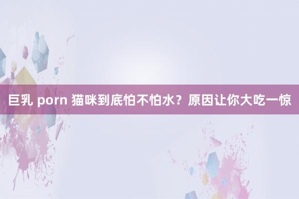 巨乳 porn 猫咪到底怕不怕水？原因让你大吃一惊