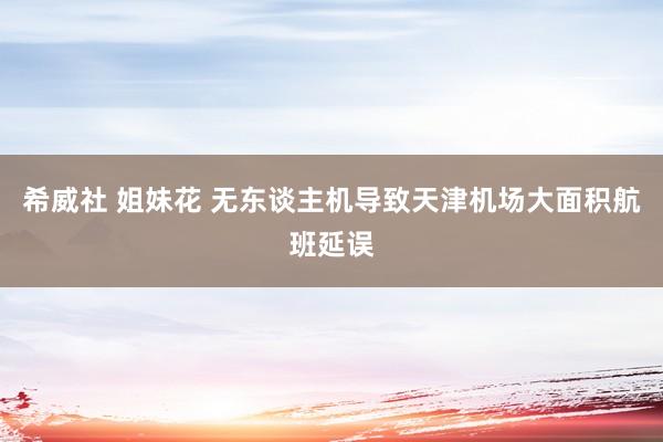 希威社 姐妹花 无东谈主机导致天津机场大面积航班延误