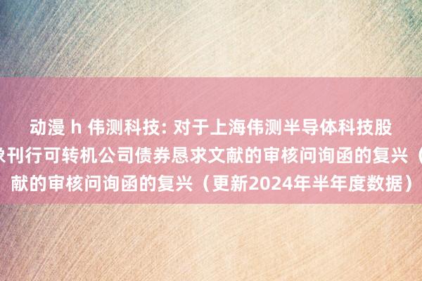 动漫 h 伟测科技: 对于上海伟测半导体科技股份有限公司向不特定对象刊行可转机公司债券恳求文献的审核问询函的复兴（更新2024年半年度数据）