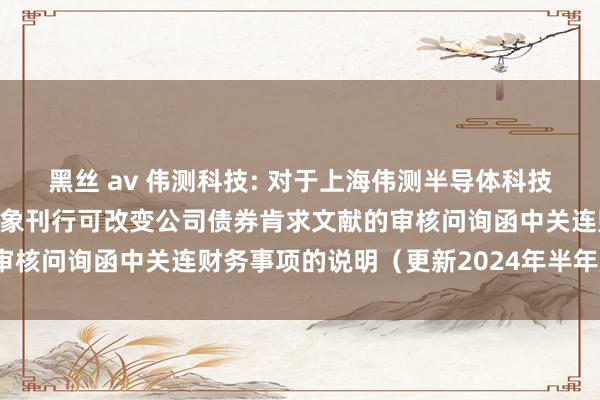 黑丝 av 伟测科技: 对于上海伟测半导体科技股份有限公司向不特定对象刊行可改变公司债券肯求文献的审核问询函中关连财务事项的说明（更新2024年半年度数据）