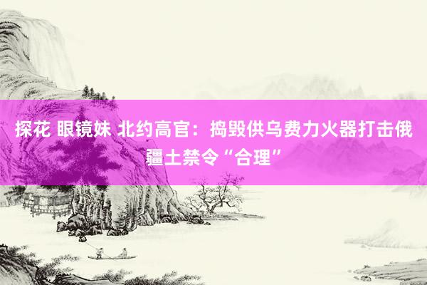 探花 眼镜妹 北约高官：捣毁供乌费力火器打击俄疆土禁令“合理”