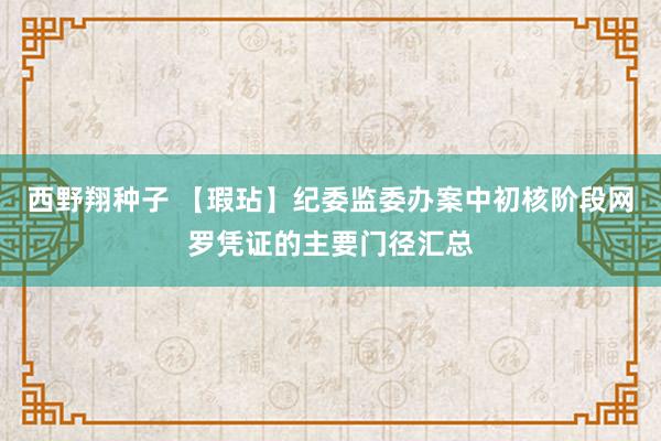 西野翔种子 【瑕玷】纪委监委办案中初核阶段网罗凭证的主要门径汇总