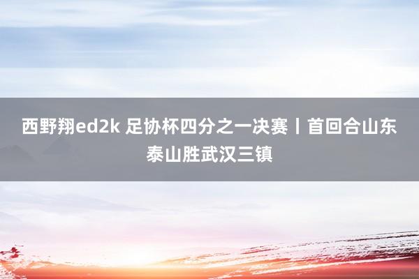 西野翔ed2k 足协杯四分之一决赛丨首回合山东泰山胜武汉三镇