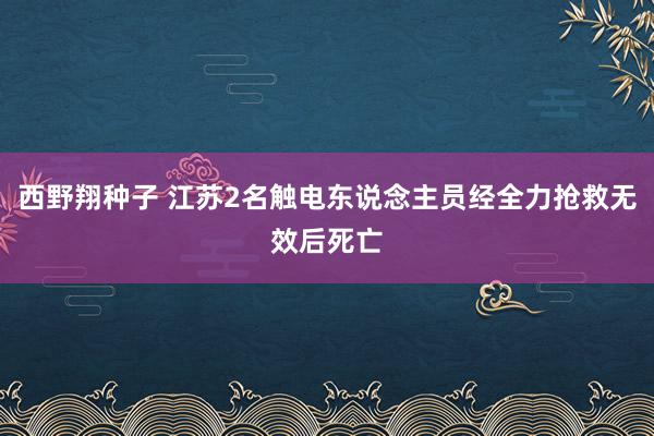 西野翔种子 江苏2名触电东说念主员经全力抢救无效后死亡