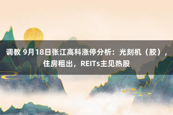 调教 9月18日张江高科涨停分析：光刻机（胶），住房租出，REITs主见热股