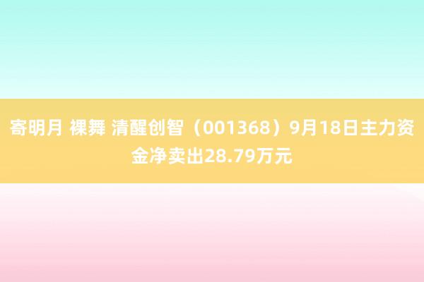 寄明月 裸舞 清醒创智（001368）9月18日主力资金净卖出28.79万元