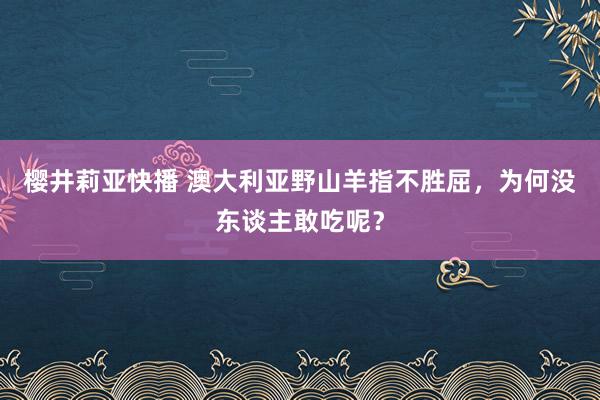 樱井莉亚快播 澳大利亚野山羊指不胜屈，为何没东谈主敢吃呢？