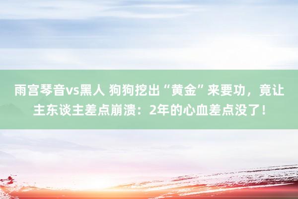 雨宫琴音vs黑人 狗狗挖出“黄金”来要功，竟让主东谈主差点崩溃：2年的心血差点没了！