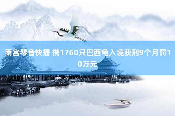 雨宫琴音快播 携1760只巴西龟入境获刑9个月罚10万元