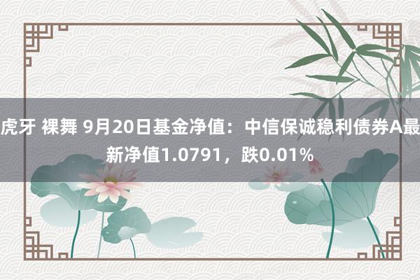 虎牙 裸舞 9月20日基金净值：中信保诚稳利债券A最新净值1.0791，跌0.01%