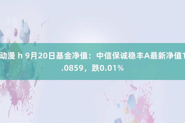 动漫 h 9月20日基金净值：中信保诚稳丰A最新净值1.0859，跌0.01%