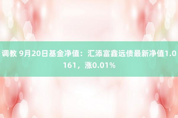 调教 9月20日基金净值：汇添富鑫远债最新净值1.0161，涨0.01%