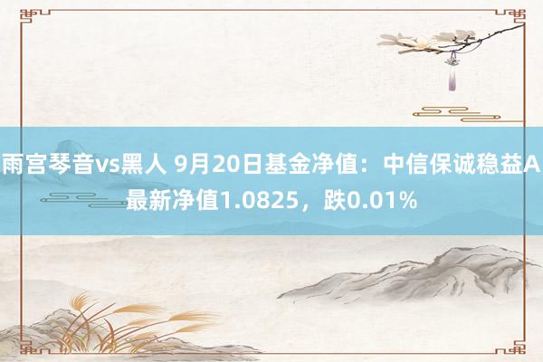 雨宫琴音vs黑人 9月20日基金净值：中信保诚稳益A最新净值1.0825，跌0.01%