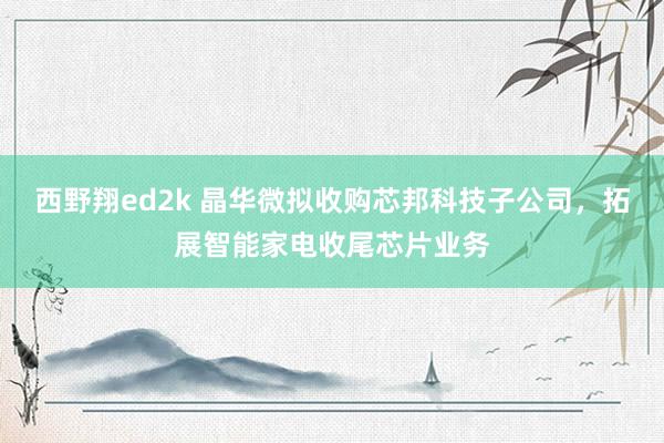 西野翔ed2k 晶华微拟收购芯邦科技子公司，拓展智能家电收尾芯片业务