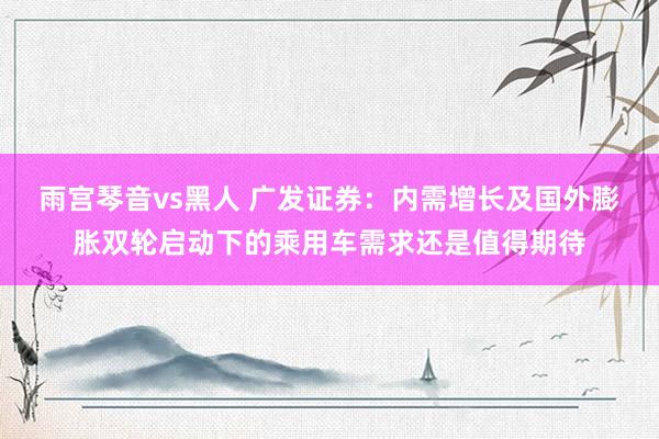 雨宫琴音vs黑人 广发证券：内需增长及国外膨胀双轮启动下的乘用车需求还是值得期待