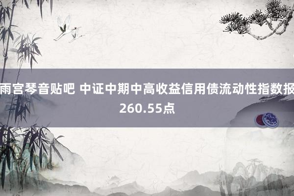 雨宫琴音贴吧 中证中期中高收益信用债流动性指数报260.55点