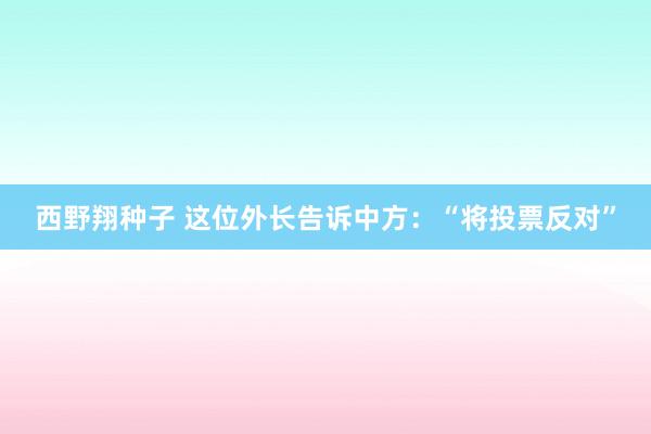 西野翔种子 这位外长告诉中方：“将投票反对”