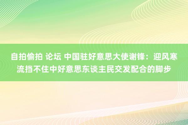 自拍偷拍 论坛 中国驻好意思大使谢锋：迎风寒流挡不住中好意思东谈主民交发配合的脚步