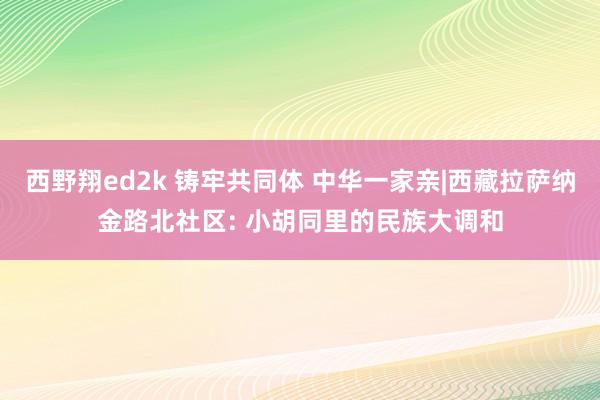 西野翔ed2k 铸牢共同体 中华一家亲|西藏拉萨纳金路北社区: 小胡同里的民族大调和