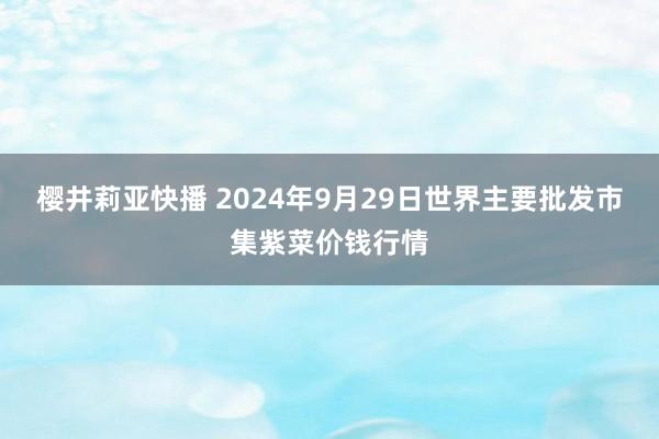 樱井莉亚快播 2024年9月29日世界主要批发市集紫菜价钱行情