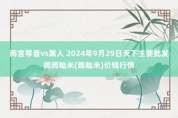 雨宫琴音vs黑人 2024年9月29日天下主要批发阛阓籼米(晚籼米)价钱行情