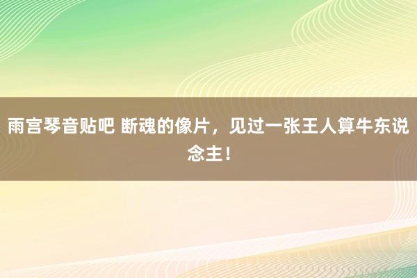 雨宫琴音贴吧 断魂的像片，见过一张王人算牛东说念主！