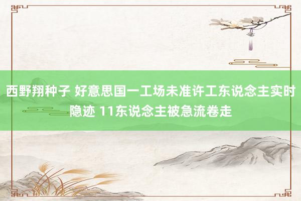 西野翔种子 好意思国一工场未准许工东说念主实时隐迹 11东说念主被急流卷走