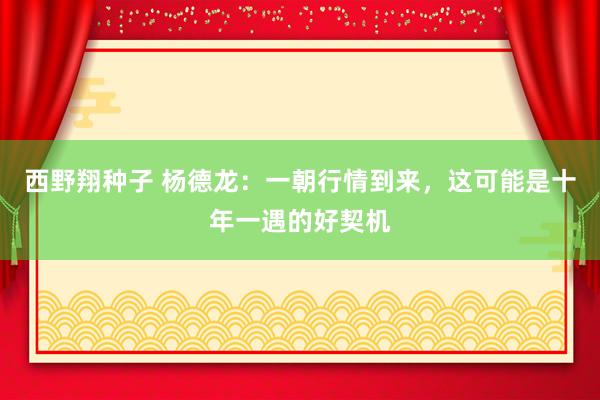 西野翔种子 杨德龙：一朝行情到来，这可能是十年一遇的好契机