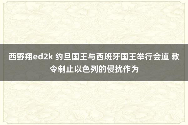 西野翔ed2k 约旦国王与西班牙国王举行会道 敕令制止以色列的侵扰作为