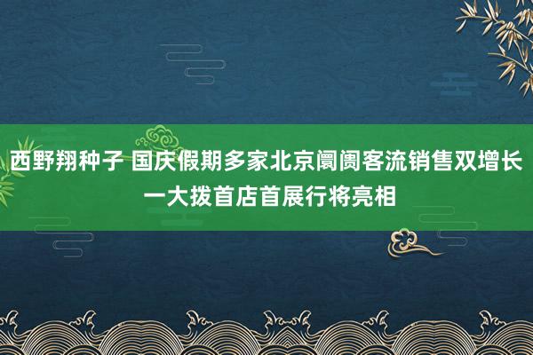 西野翔种子 国庆假期多家北京阛阓客流销售双增长 一大拨首店首展行将亮相