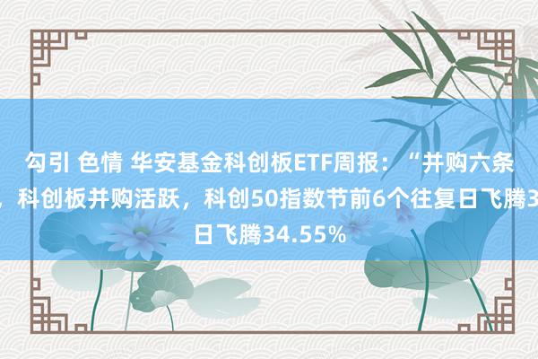 勾引 色情 华安基金科创板ETF周报：“并购六条”发布，科创板并购活跃，科创50指数节前6个往复日飞腾34.55%