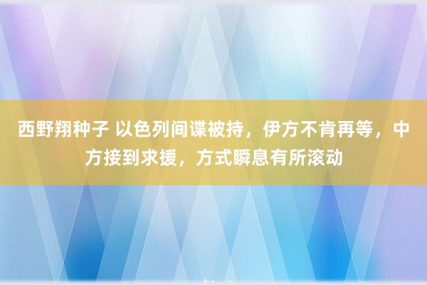 西野翔种子 以色列间谍被持，伊方不肯再等，中方接到求援，方式瞬息有所滚动