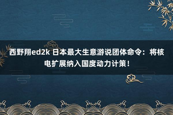 西野翔ed2k 日本最大生意游说团体命令：将核电扩展纳入国度动力计策！