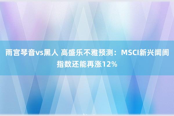 雨宫琴音vs黑人 高盛乐不雅预测：MSCI新兴阛阓指数还能再涨12%