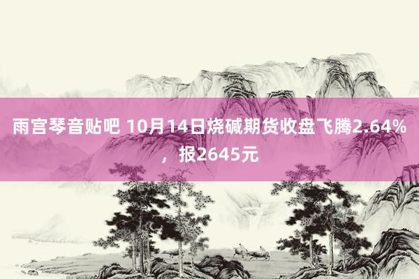 雨宫琴音贴吧 10月14日烧碱期货收盘飞腾2.64%，报2645元