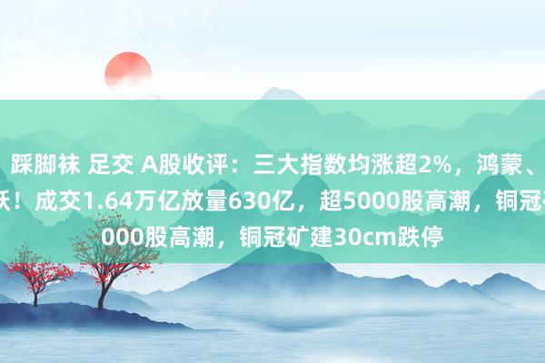 踩脚袜 足交 A股收评：三大指数均涨超2%，鸿蒙、化债倡导等活跃！成交1.64万亿放量630亿，超5000股高潮，铜冠矿建30cm跌停