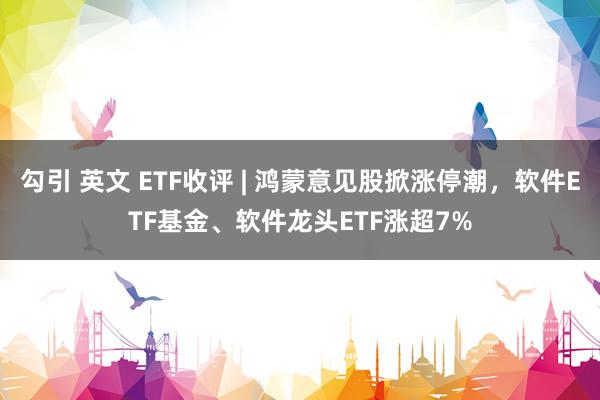 勾引 英文 ETF收评 | 鸿蒙意见股掀涨停潮，软件ETF基金、软件龙头ETF涨超7%