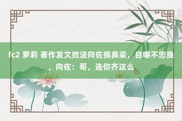 fc2 萝莉 著作发文效法向佐摸鼻梁，自嘲不忠良，向佐：哥，连你齐这么