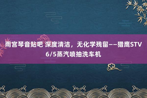 雨宫琴音贴吧 深度清洁，无化学残留——猎鹰STV6/5蒸汽喷抽洗车机