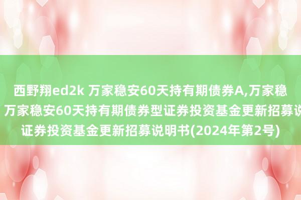 西野翔ed2k 万家稳安60天持有期债券A，万家稳安60天持有期债券C: 万家稳安60天持有期债券型证券投资基金更新招募说明书(2024年第2号)