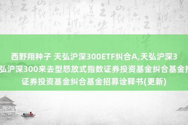 西野翔种子 天弘沪深300ETF纠合A，天弘沪深300ETF纠合C: 天弘沪深300来去型怒放式指数证券投资基金纠合基金招募诠释书(更新)