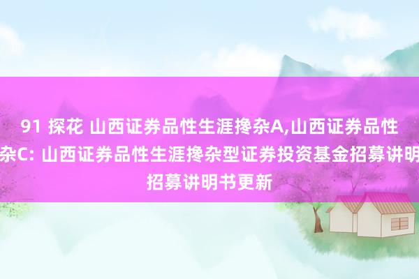 91 探花 山西证券品性生涯搀杂A，山西证券品性生涯搀杂C: 山西证券品性生涯搀杂型证券投资基金招募讲明书更新